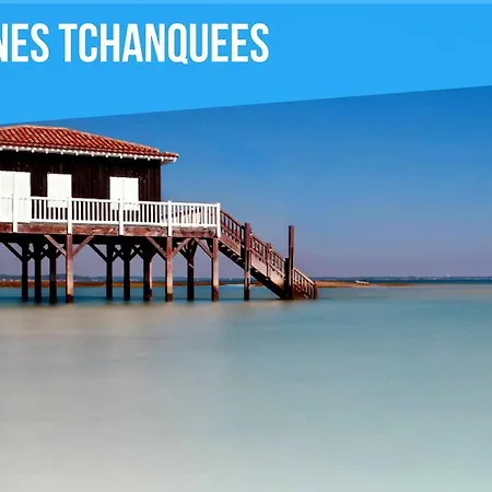 De Pins Bassin Arcachon * Andernos-les-Bains