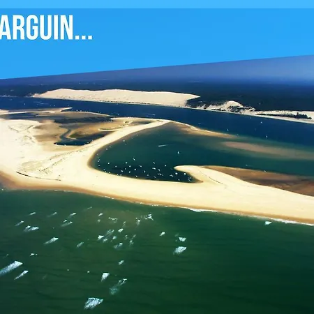 De Pins Bassin Arcachon Villa *